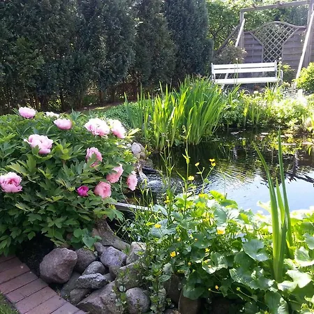 Die Kleine Seerose Grömitz