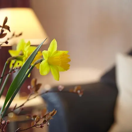 Die Kleine Seerose Apartment *