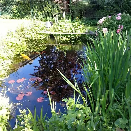 Die Kleine Seerose Apartment